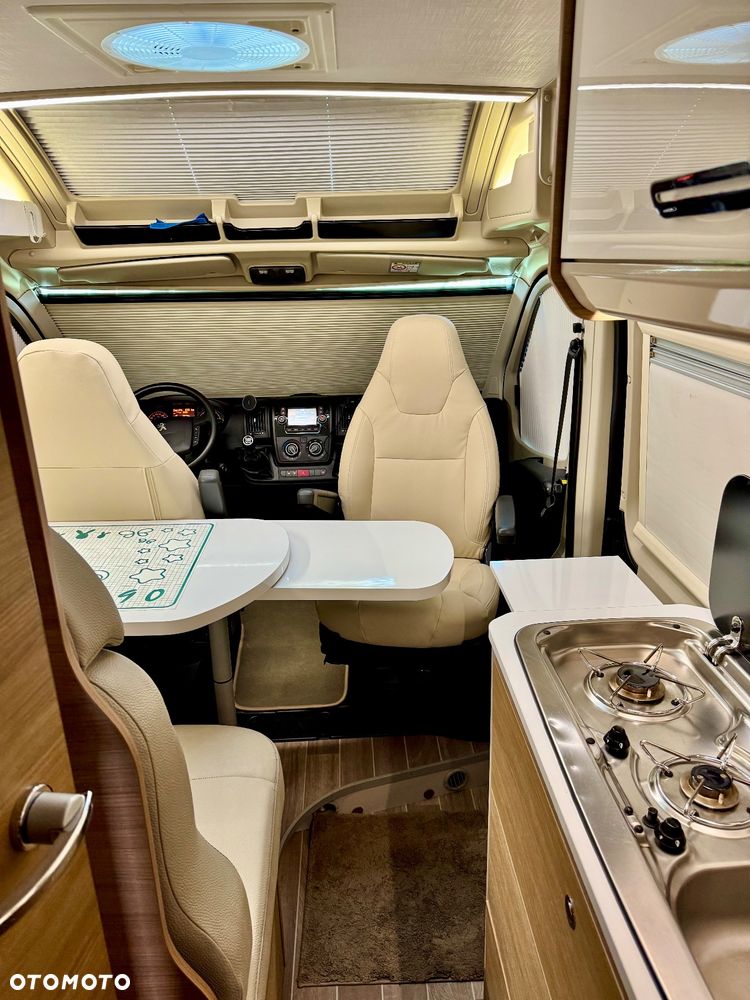 McLOUIS Prestige - 19