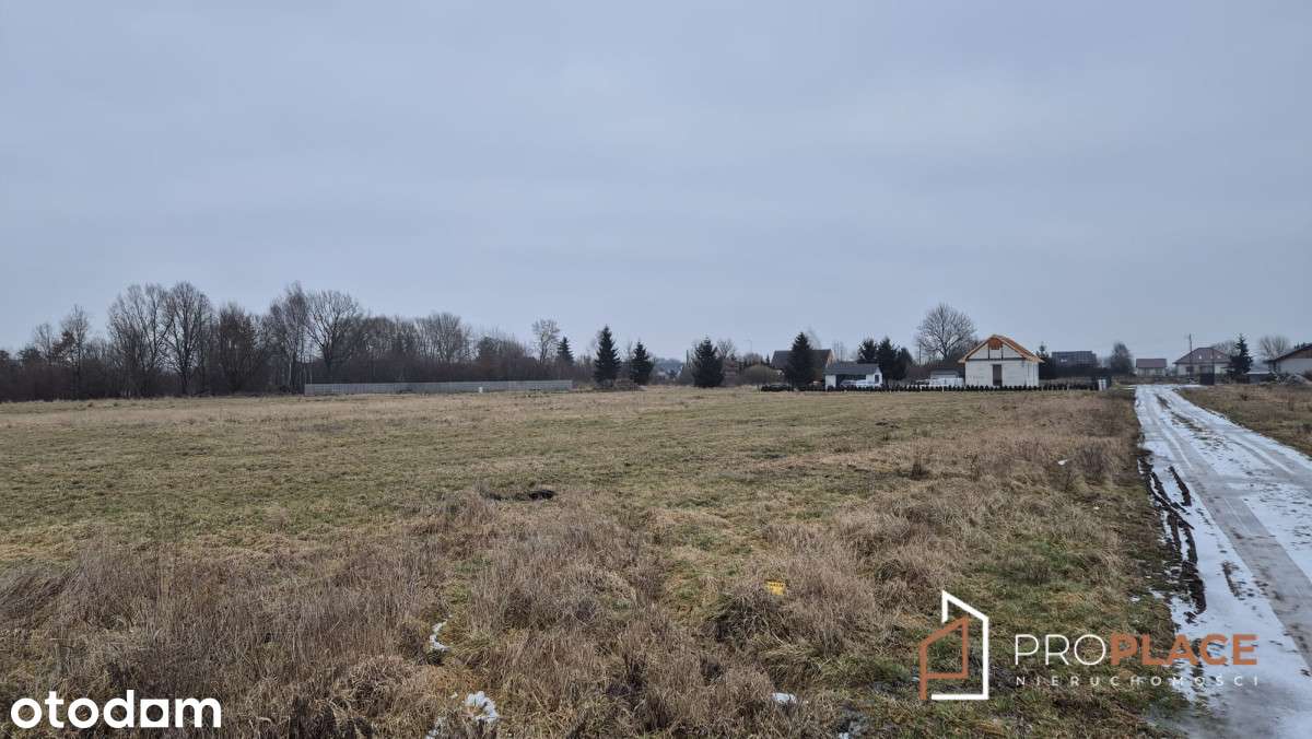Działka z WZ Krasowiec /Deszczno 10 km do Gorzowa - Pełny obrazek: 4/4