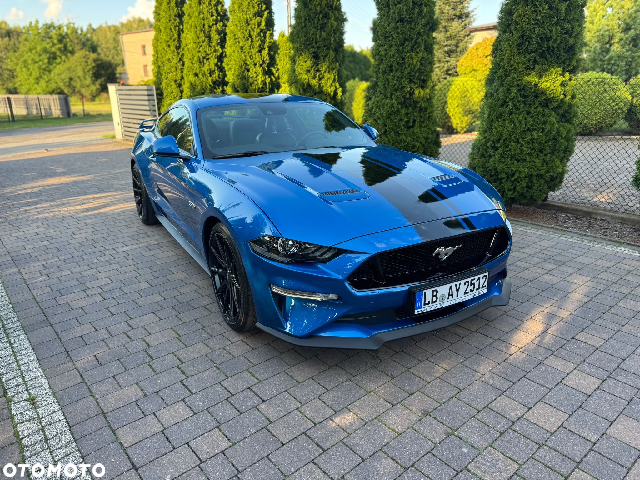 Ford Mustang Fastback 5.0 Ti-VCT V8 GT - 9