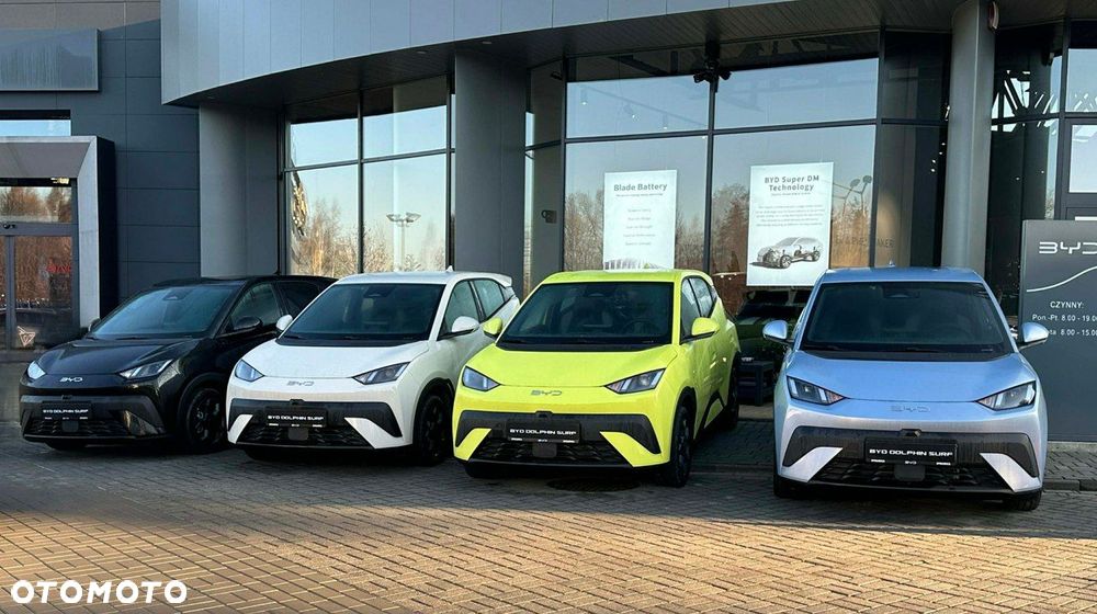 BYD Dolphin Surf - 17