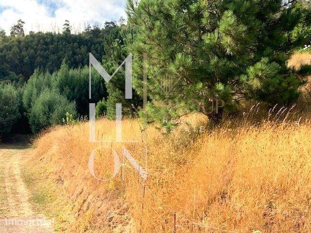Terreno 1906m2 | com vista | zona sossegada | Santa maria Maior | Func - Grande imagem: 4/8