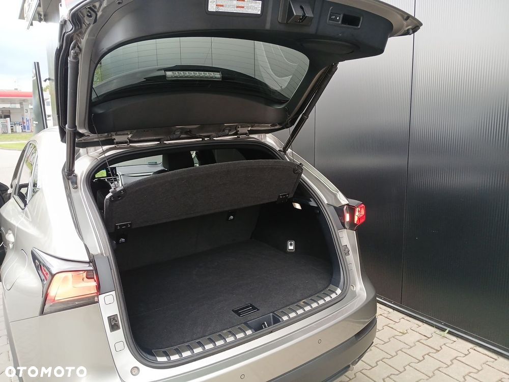 Lexus NX - 29