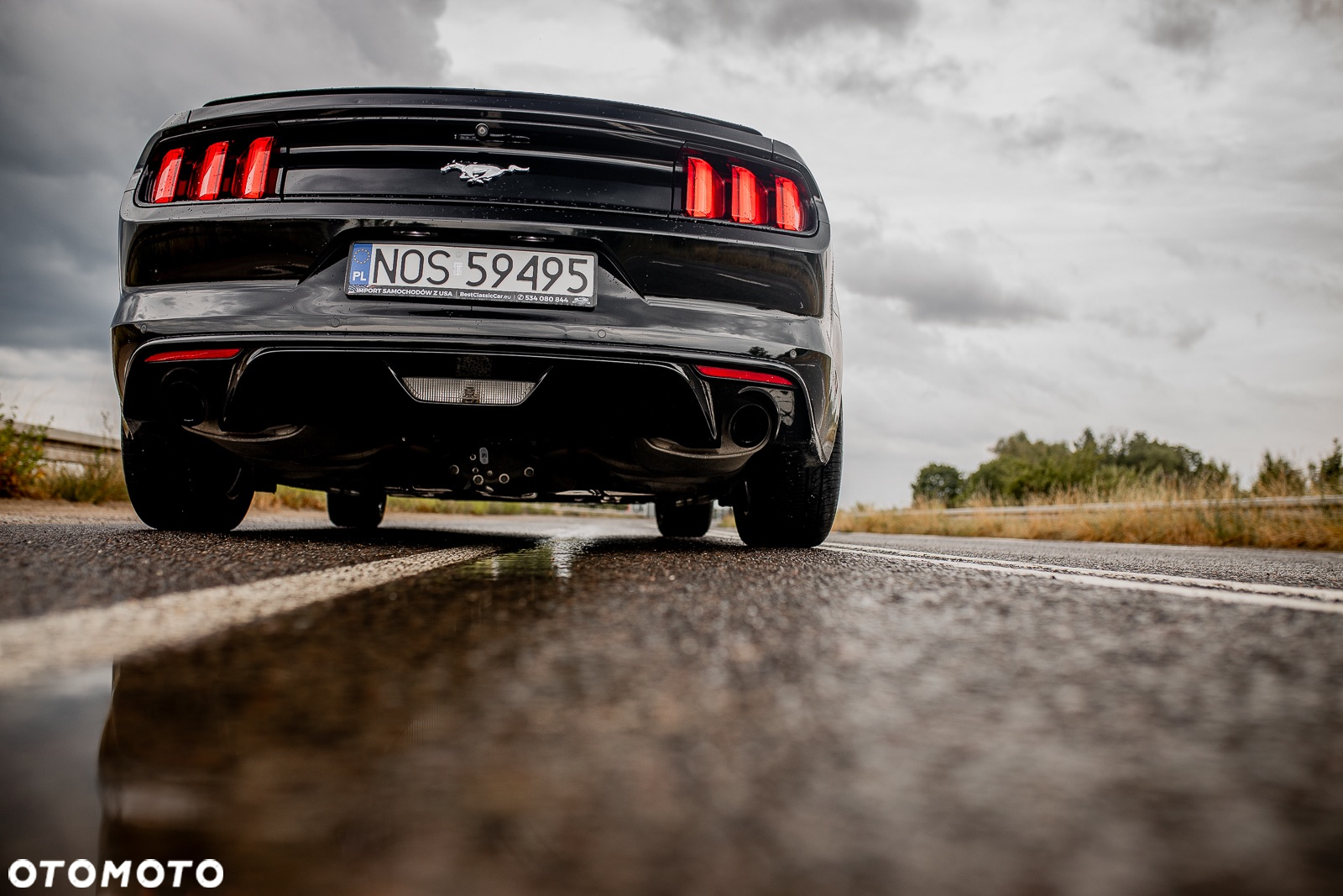Ford Mustang 2.3 EcoBoost - 21