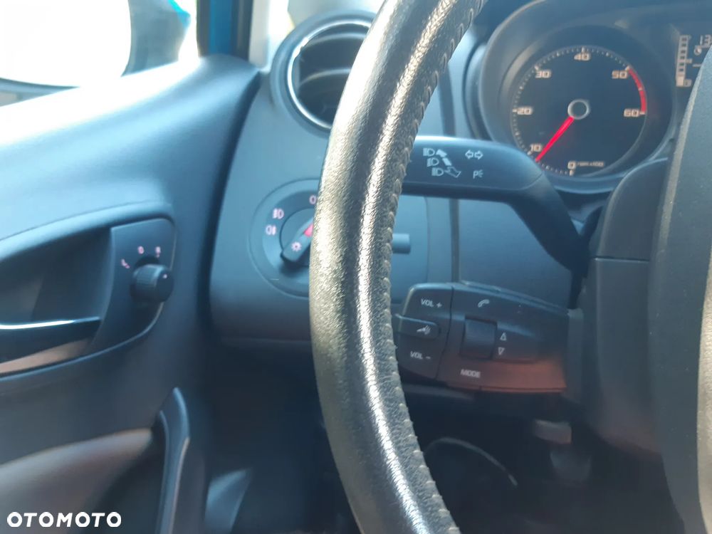 Seat Ibiza - 29