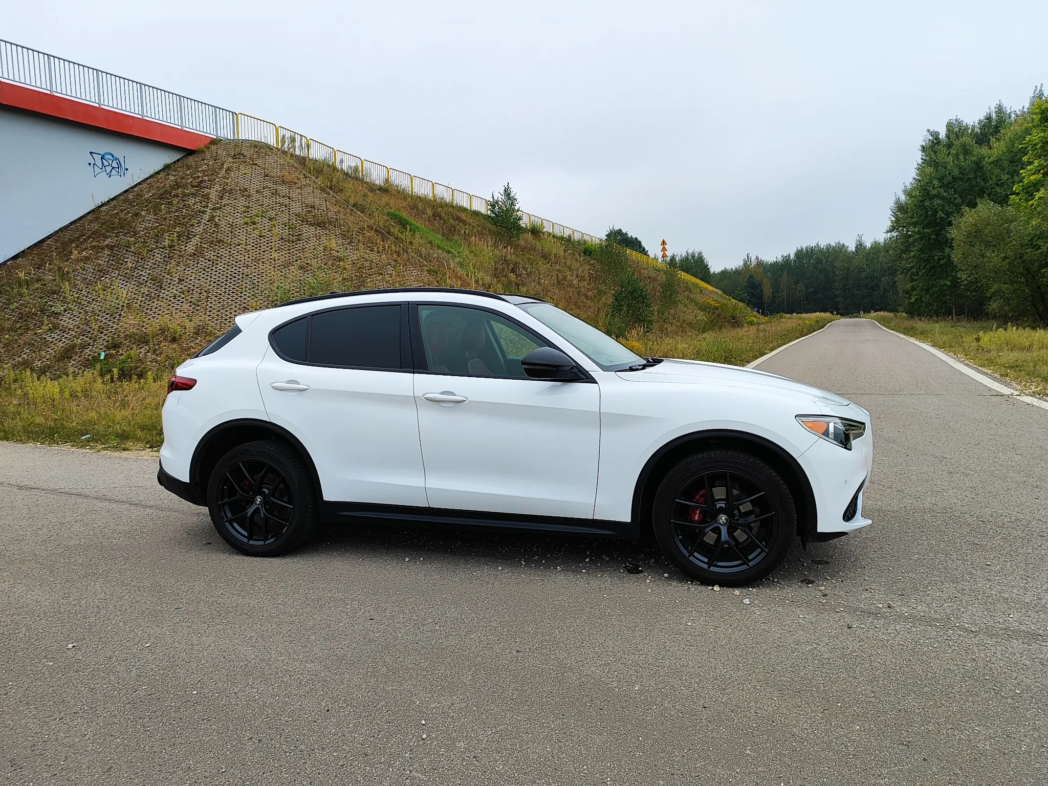 Alfa Romeo Stelvio 2.0 Turbo TI Q4 - 8