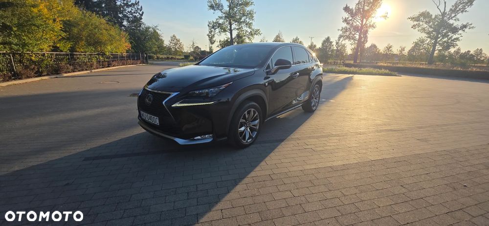Lexus NX 300h F Sport AWD - 17