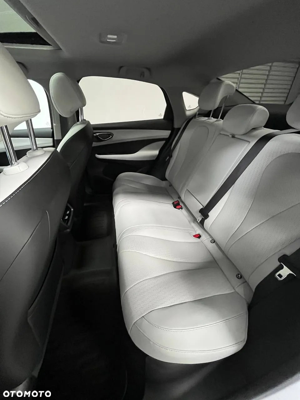 BYD Inny - 8