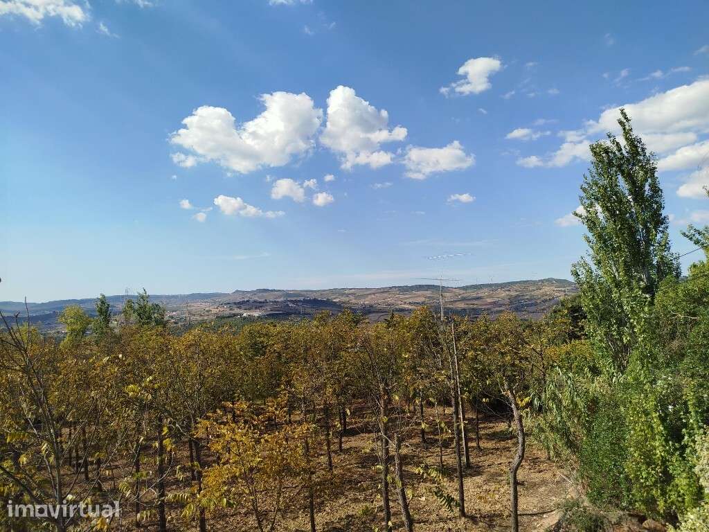 Quinta para venda em Vila Franca de Xira - Grande imagem: 3/17
