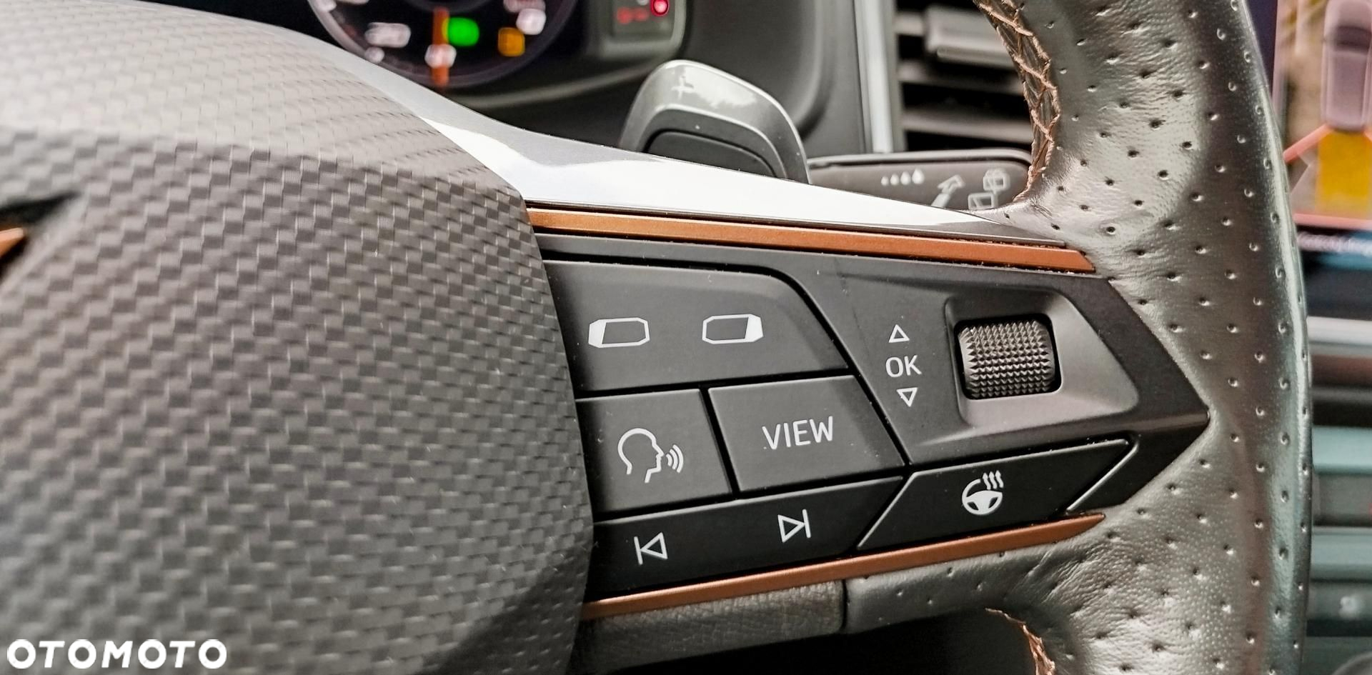 Cupra Ateca - 10