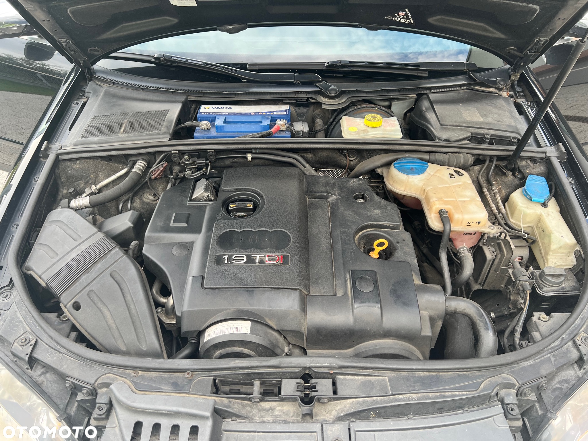 Audi A4 - 20