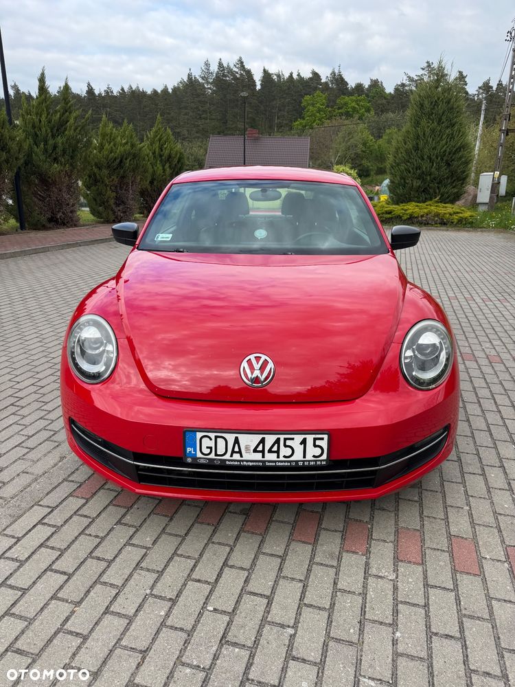 Volkswagen Beetle - 3
