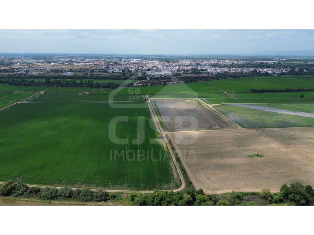 Terreno de 9,5 ha em Benavente - Grande imagem: 3/6