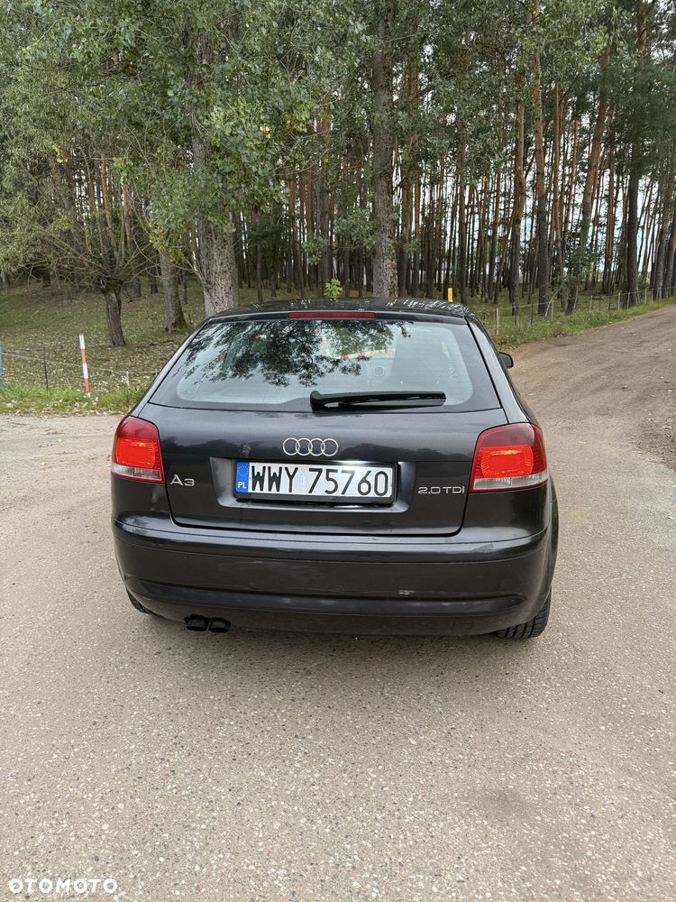 Audi A3 2004 photo 4