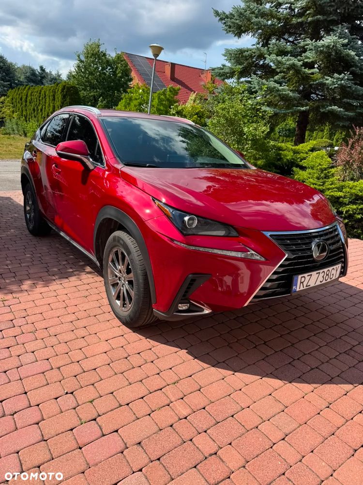 Lexus NX 300 AWD - 1