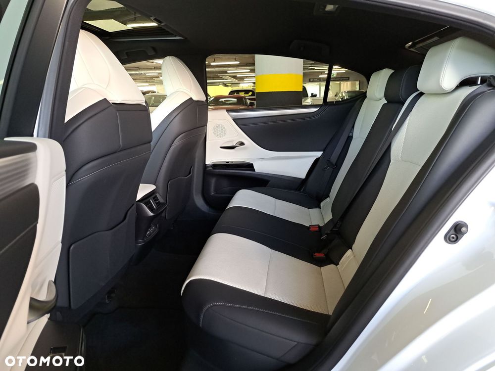 Lexus ES 300h F Sport Edition - 13