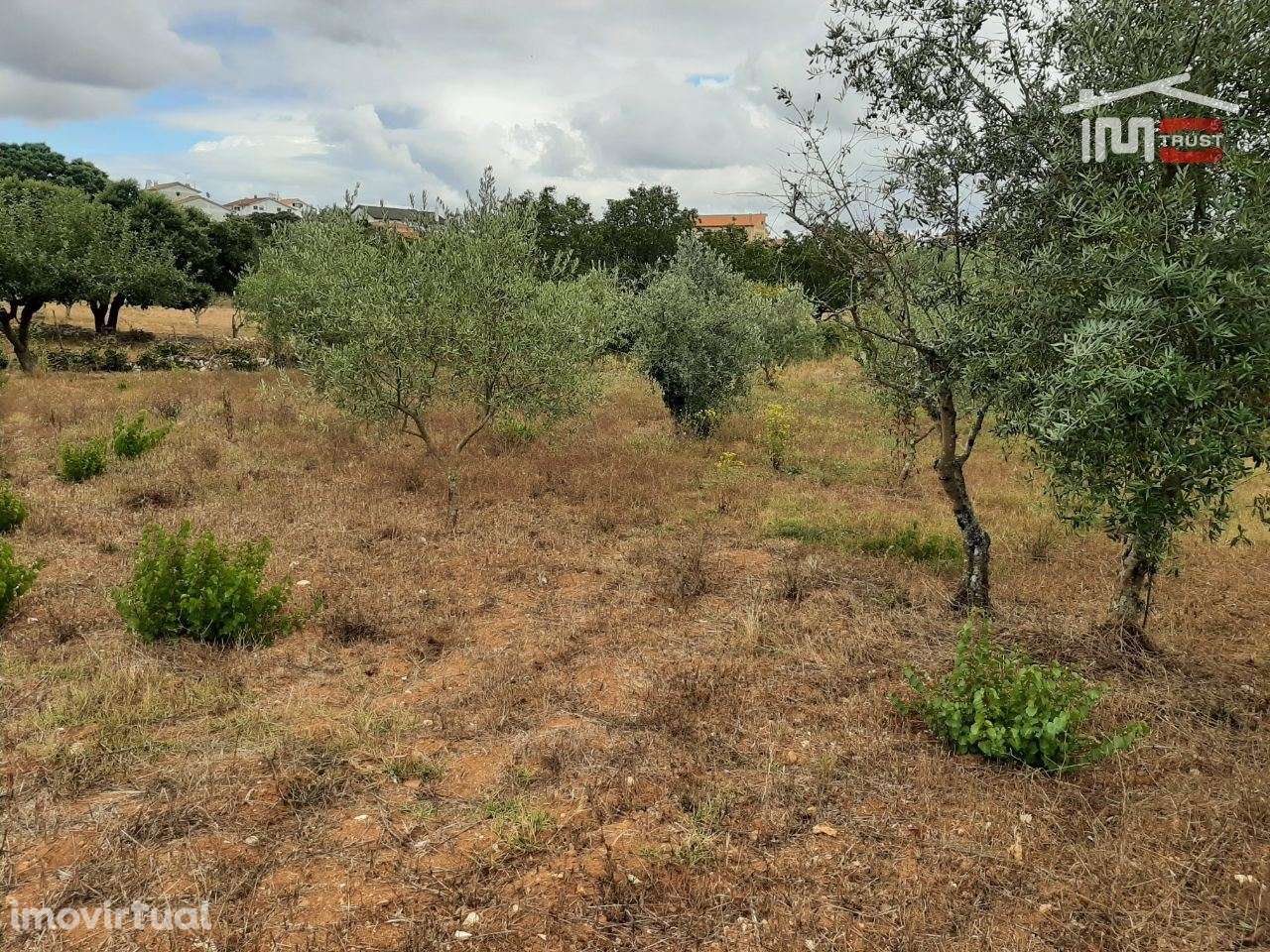 TERRENO COM ÁREA DE 1588m2 em Fátima - Grande imagem: 4/9
