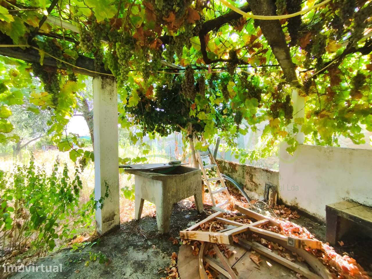 Moradia em Bebeses, Penedono - Grande imagem: 4/20