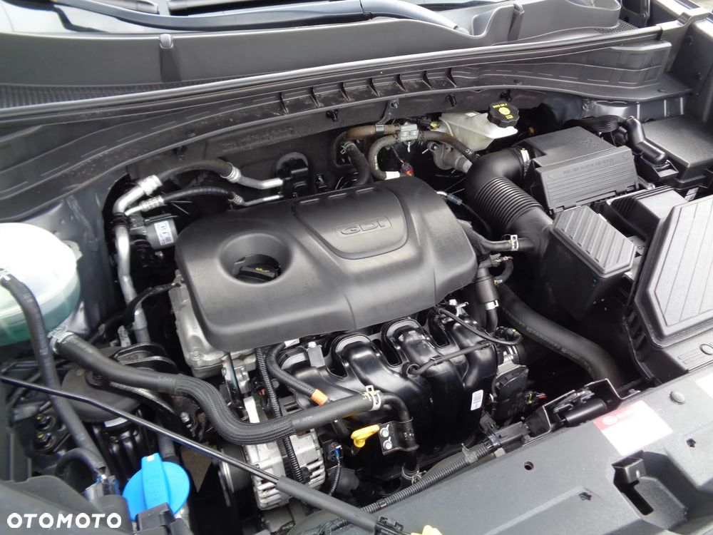 Kia Sportage - 29