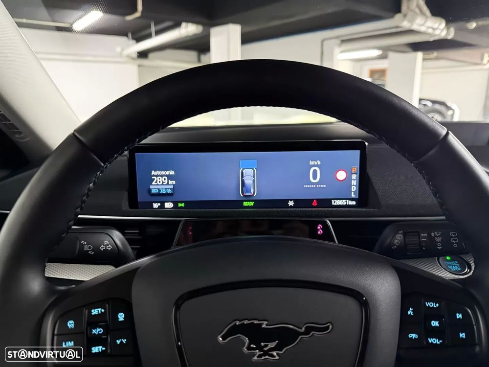 Ford Mustang Mach-E Standard - 16
