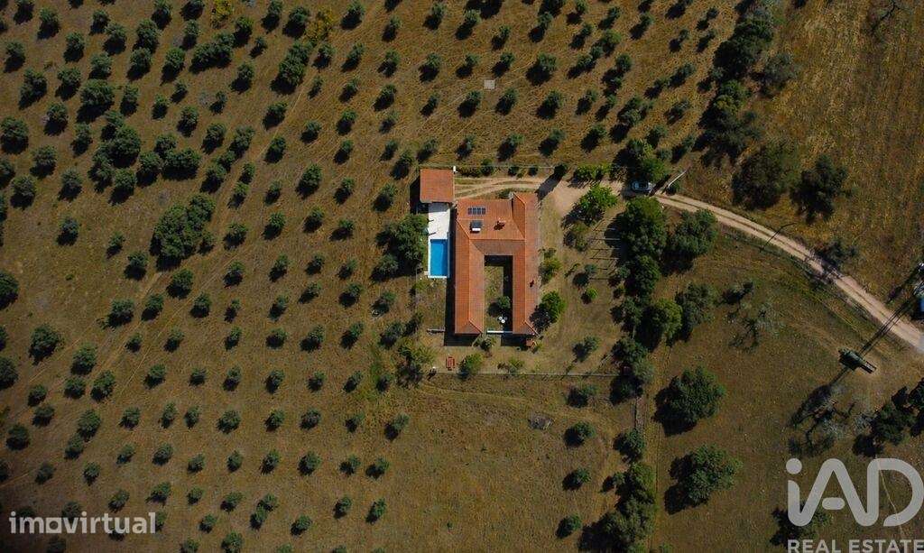 Quinta T5 em Assunção de 336 m2 - Grande imagem: 5/40