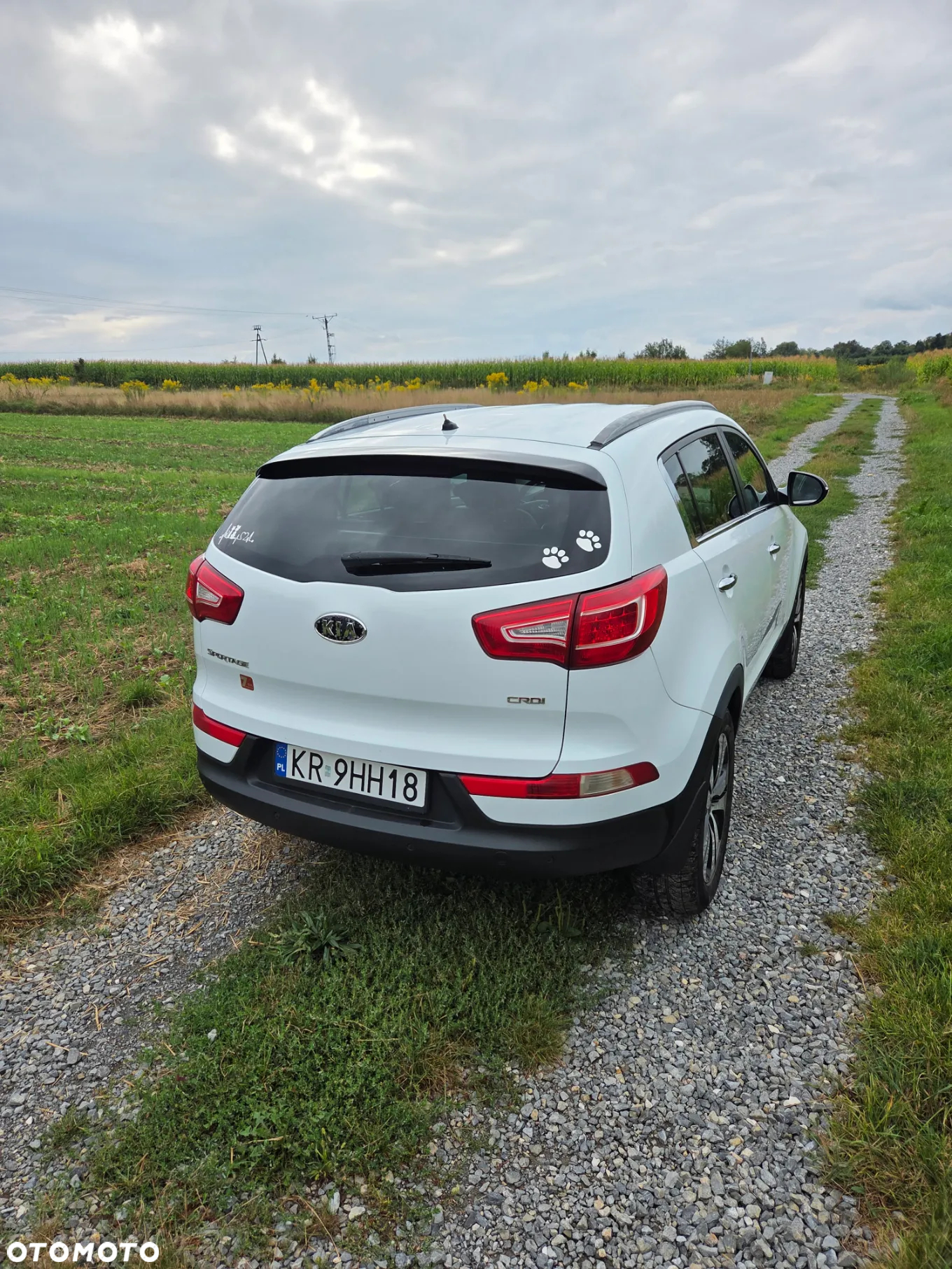 Kia Sportage 2.0 CRDI XL 2WD - 4