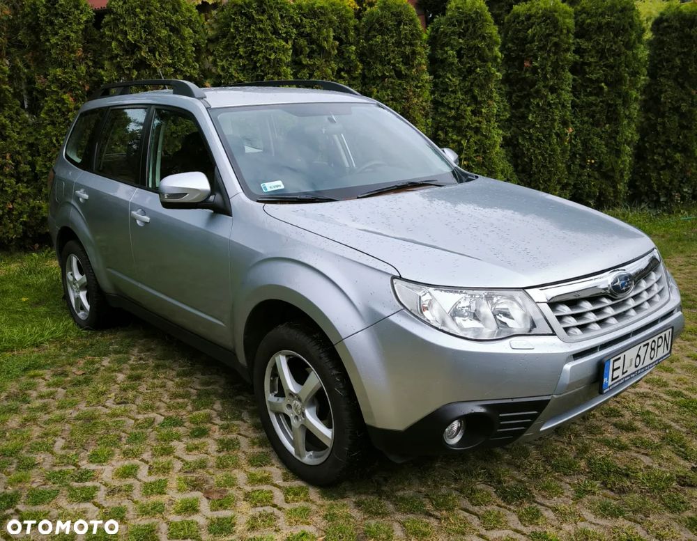 Subaru Forester - 22