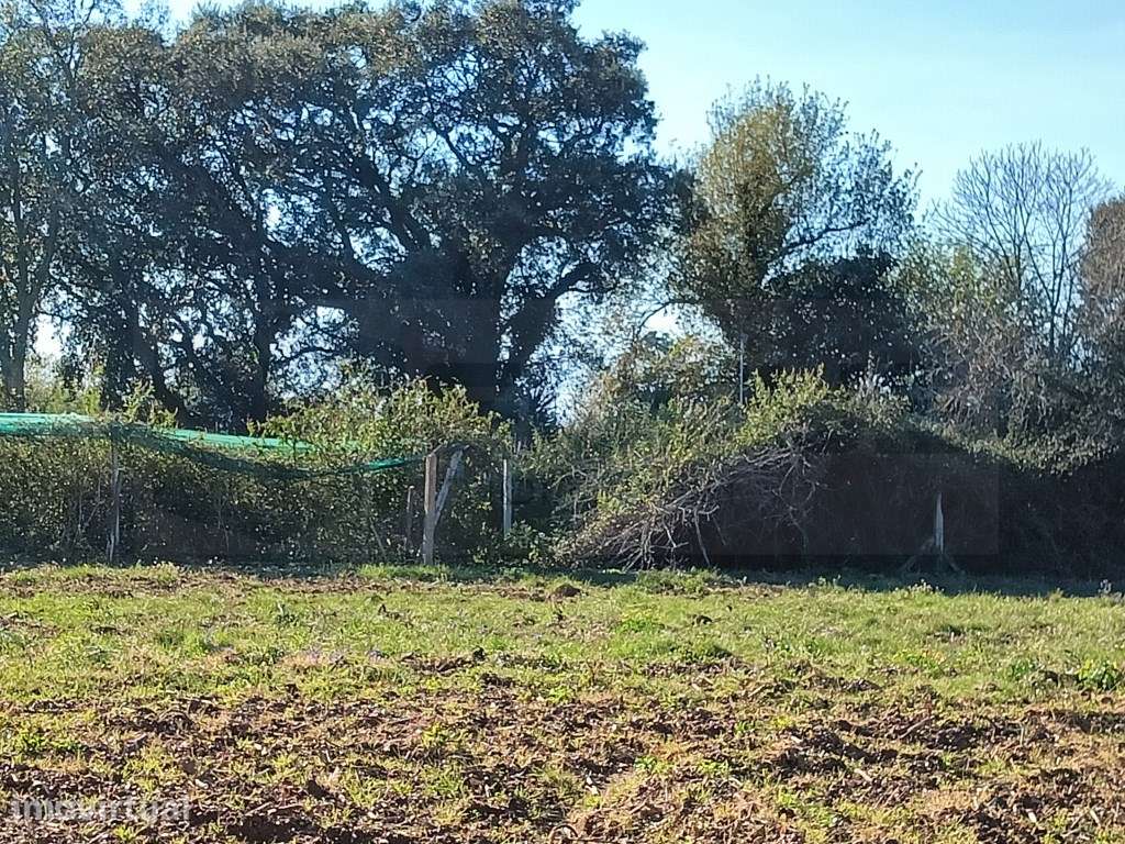 TERRENO RUSTICO - SOBREIRO - Grande imagem: 5/8