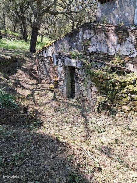 Quinta em São Salvador da Aramenha Marvão Portalegre Alto Alentejo - Grande imagem: 5/11