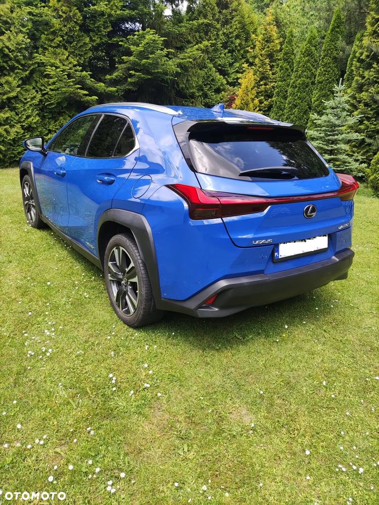 Lexus UX 250h GPF Omotenashi AWD - 4