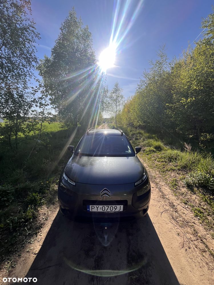 Citroën C4 Cactus - 11
