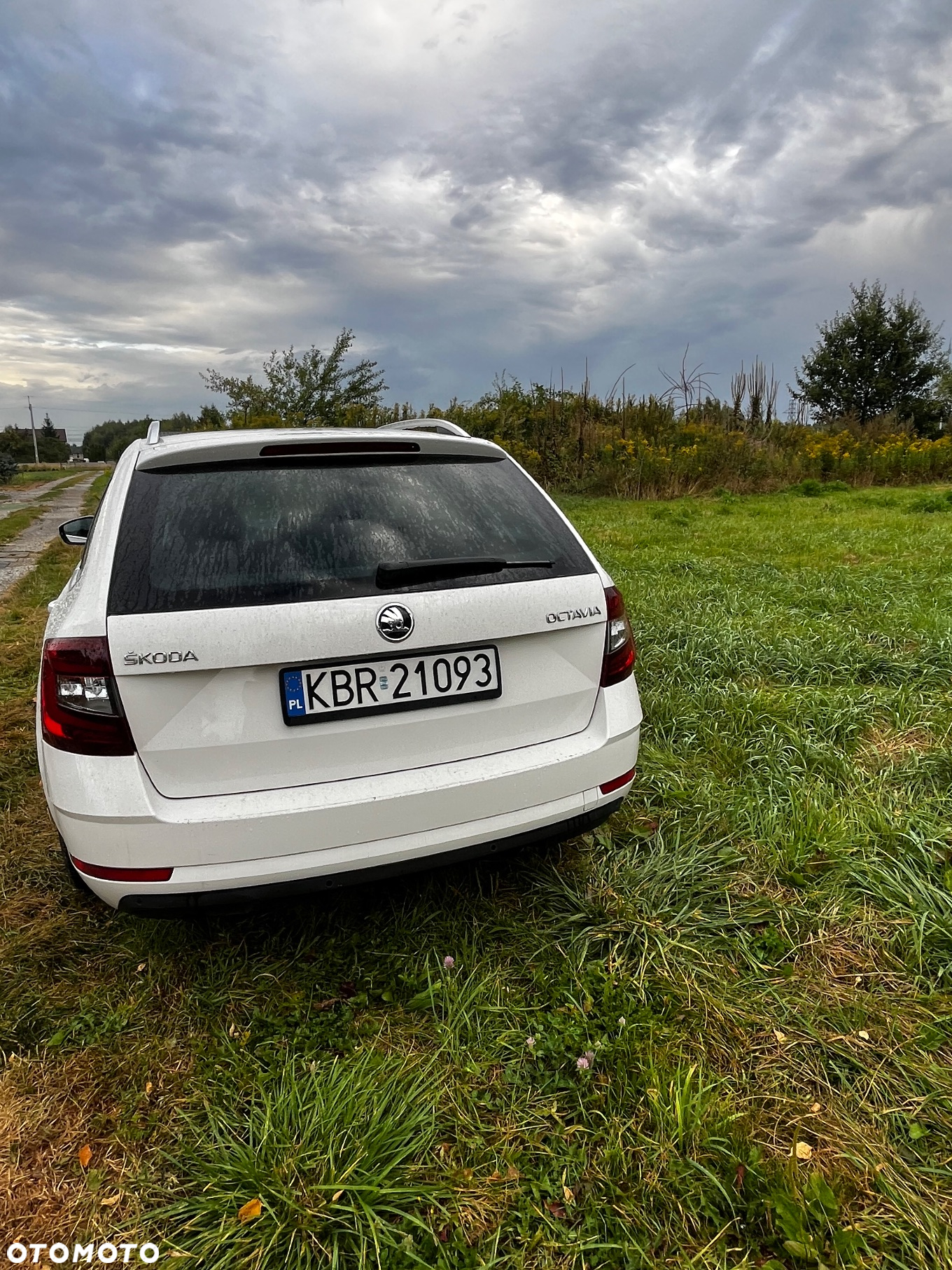 Skoda Octavia 1.6 TDI Style DSG - 5