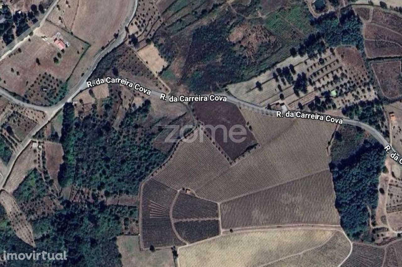 Terreno Rústico em São Paio, Gouveia – Carvalhal - Grande imagem: 2/10