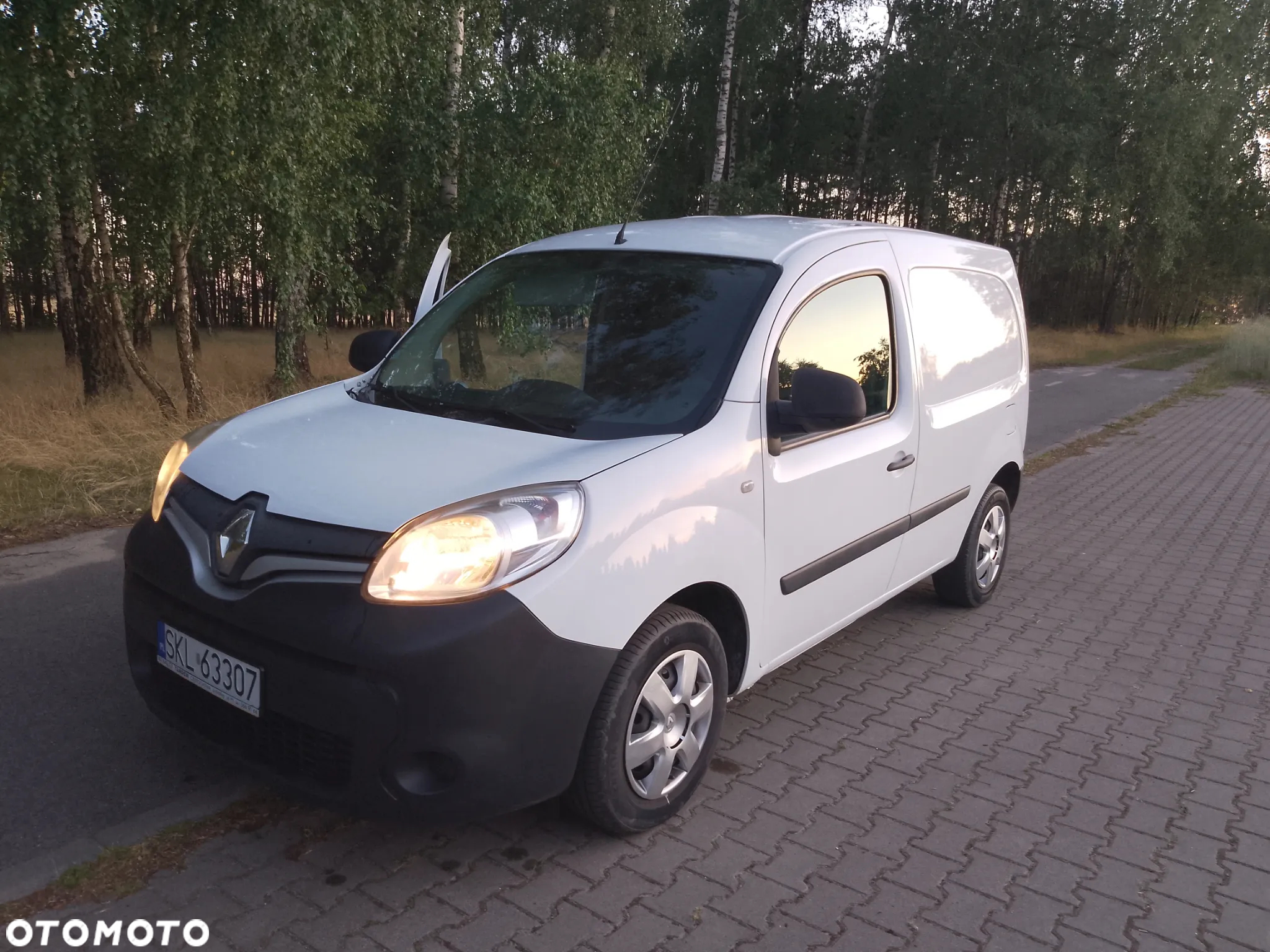Renault Kangoo - 11
