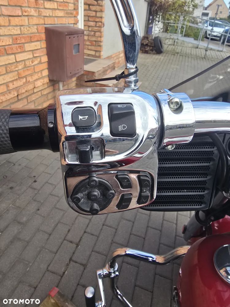 Indian Chieftain - 19