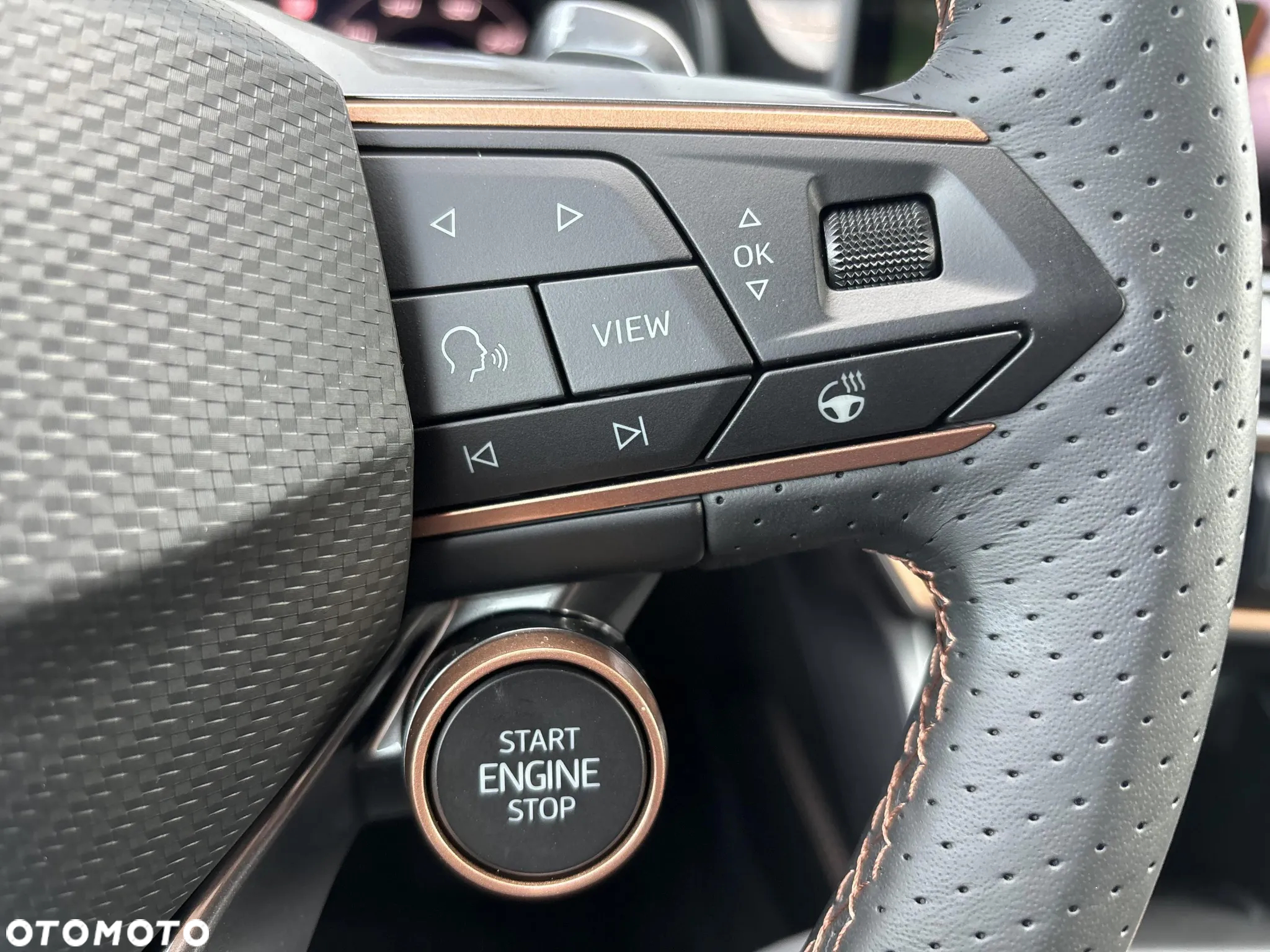 Cupra Formentor 1.5 TSI DSG - 12