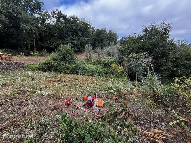 Terreno para venda em chelo Penacova - Grande imagem: 3/6