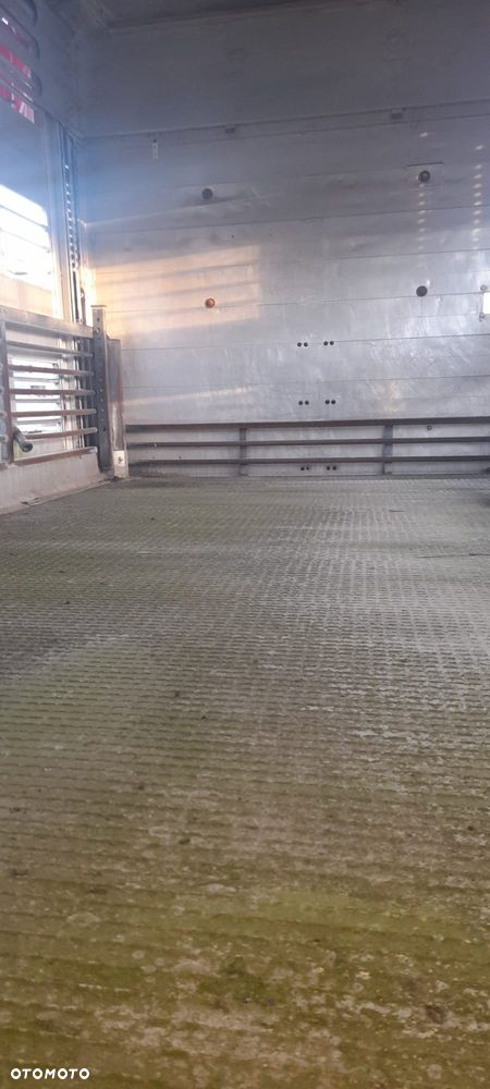 Zorzi 36s 136/19 LA - 21