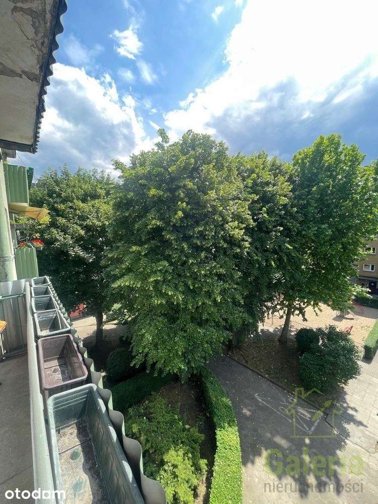 Do wynajęcia 2 pok. w centrum