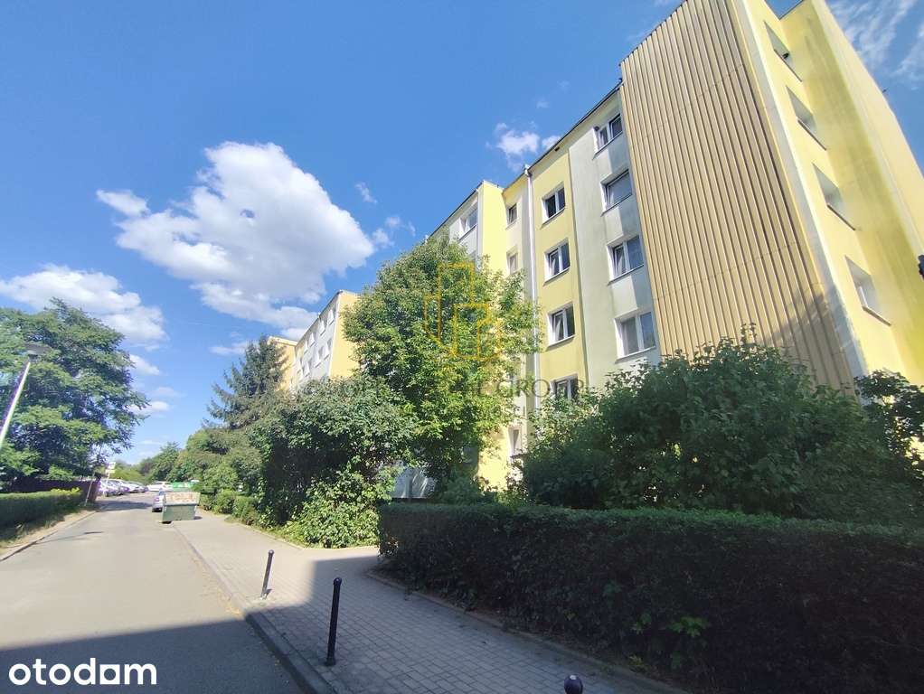 Duże 3 pokoje z balkonem i piwnicą /Bacciarellego!