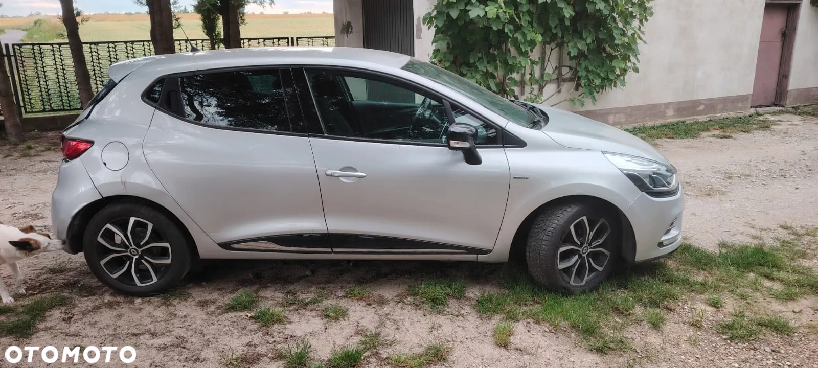 Renault Clio - 7