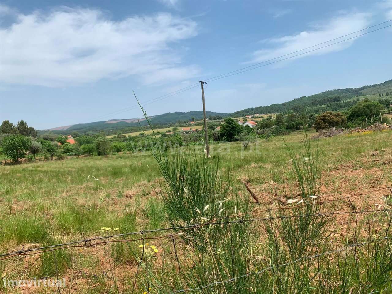 Terreno Misto / Fundão, Enxames - Grande imagem: 5/16