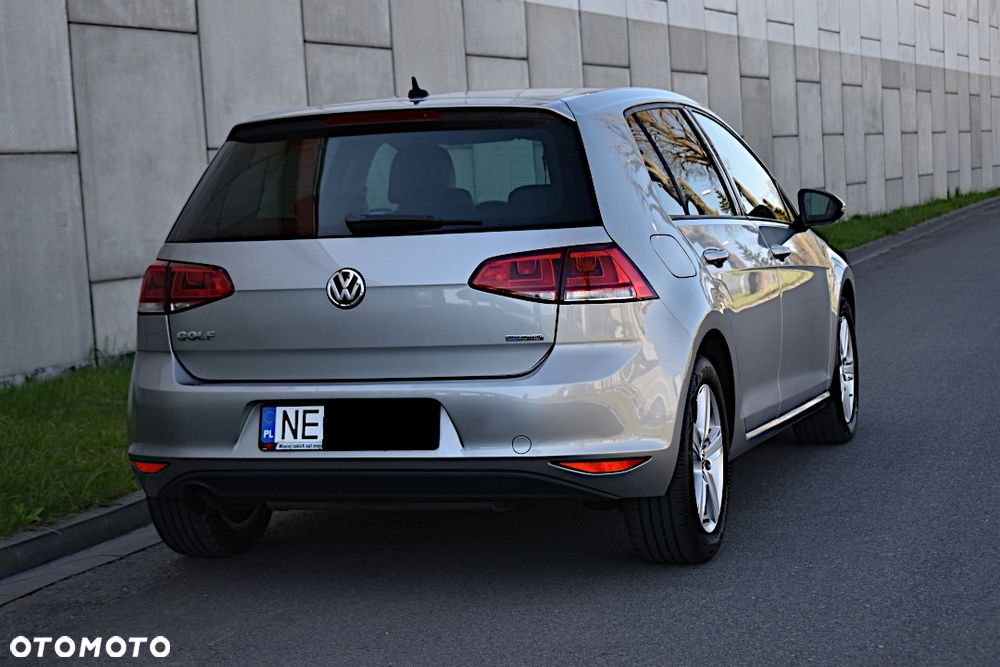 Volkswagen Golf - 17