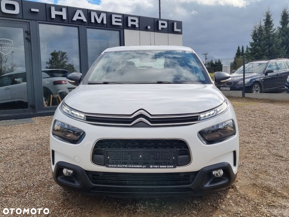 Citroën C4 Cactus 1.5 BlueHDi Shine Pack - 25