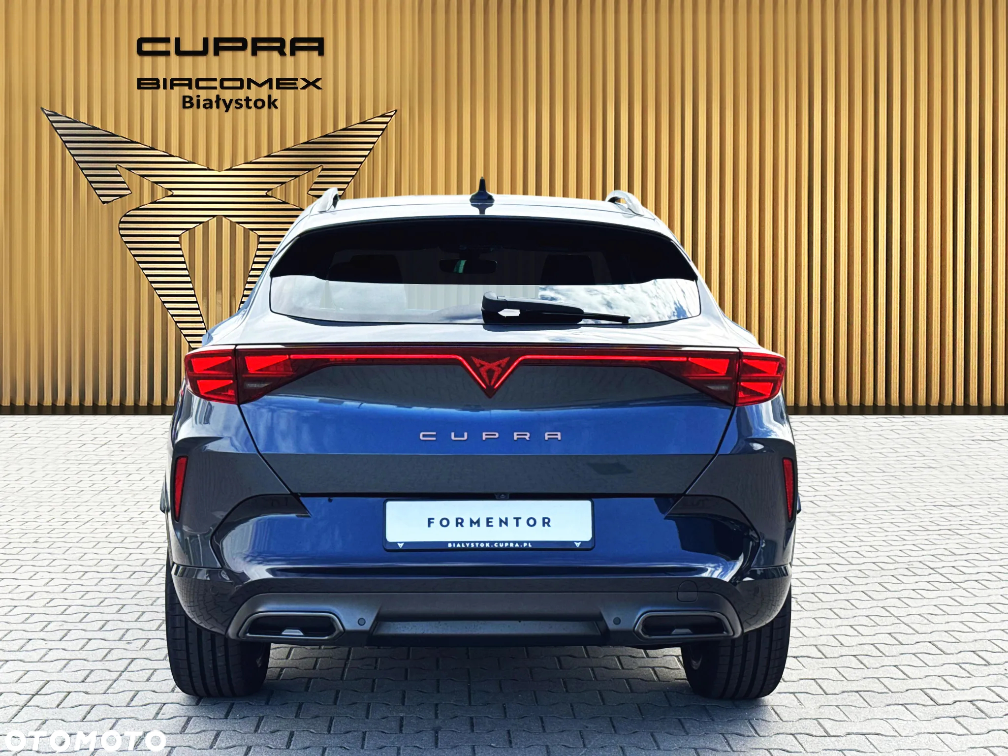 Cupra Formentor 2.0 TSI 4Drive DSG - 5