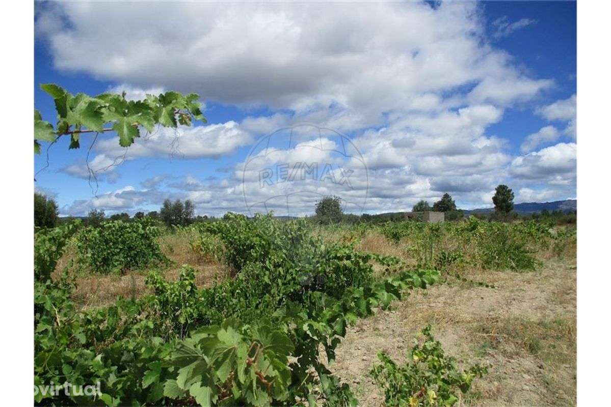 Quinta T0 para venda - Grande imagem: 2/7