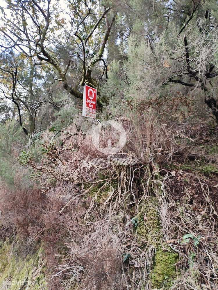 Terreno de 3600m² para Plantação ou Cultivo no Parque Natural do Gerês - Grande imagem: 2/4