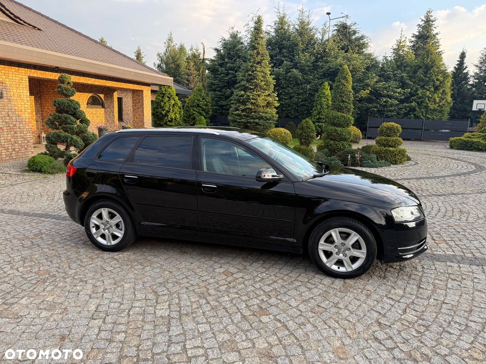 Audi A3 Sportback 1.6 Ambiente - 5
