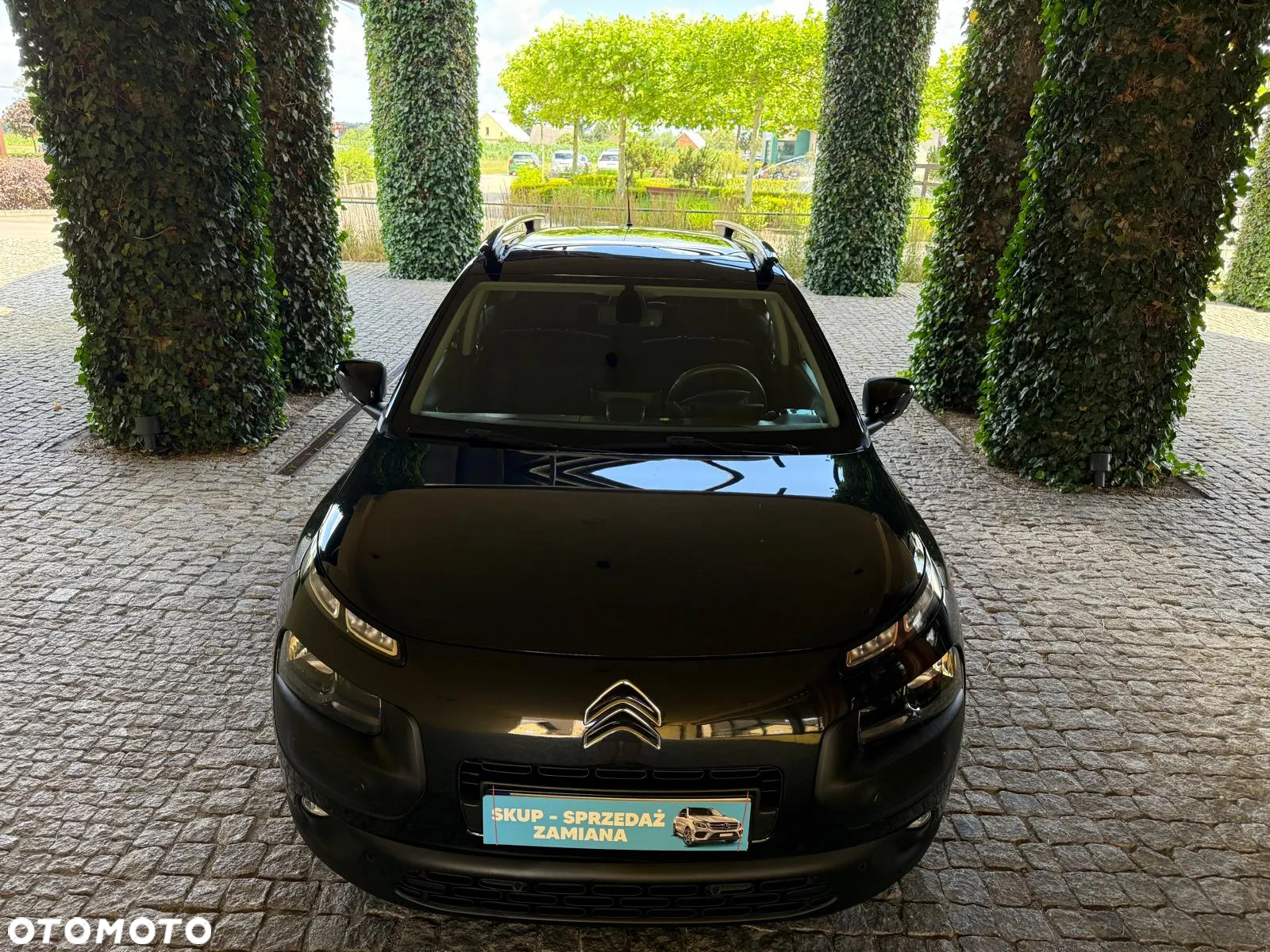 Citroën C4 Cactus 1.2 PureTech Feel - 32