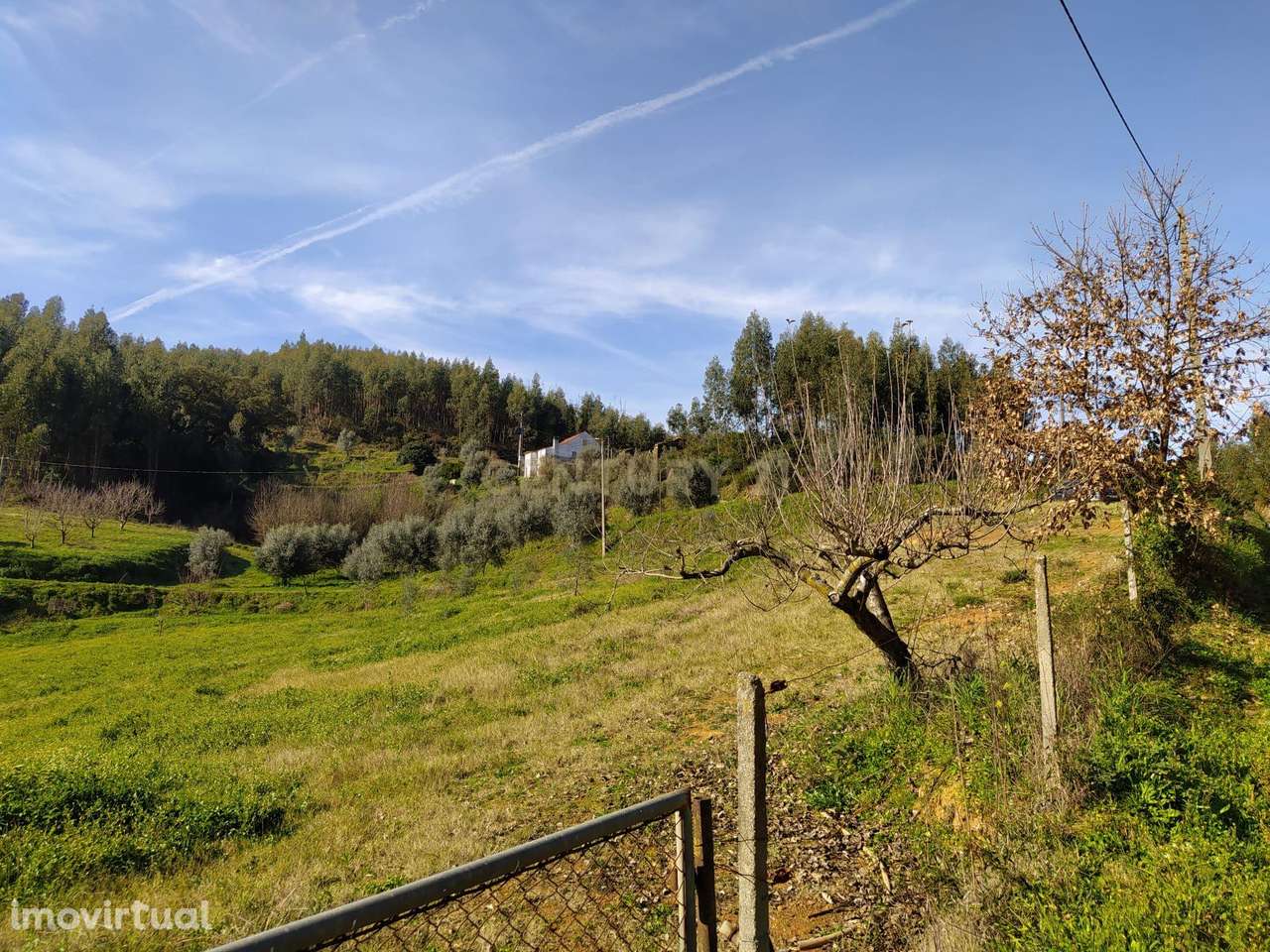 Terreno de 1 HECTARE - Ferreira do Zezere - Grande imagem: 2/6
