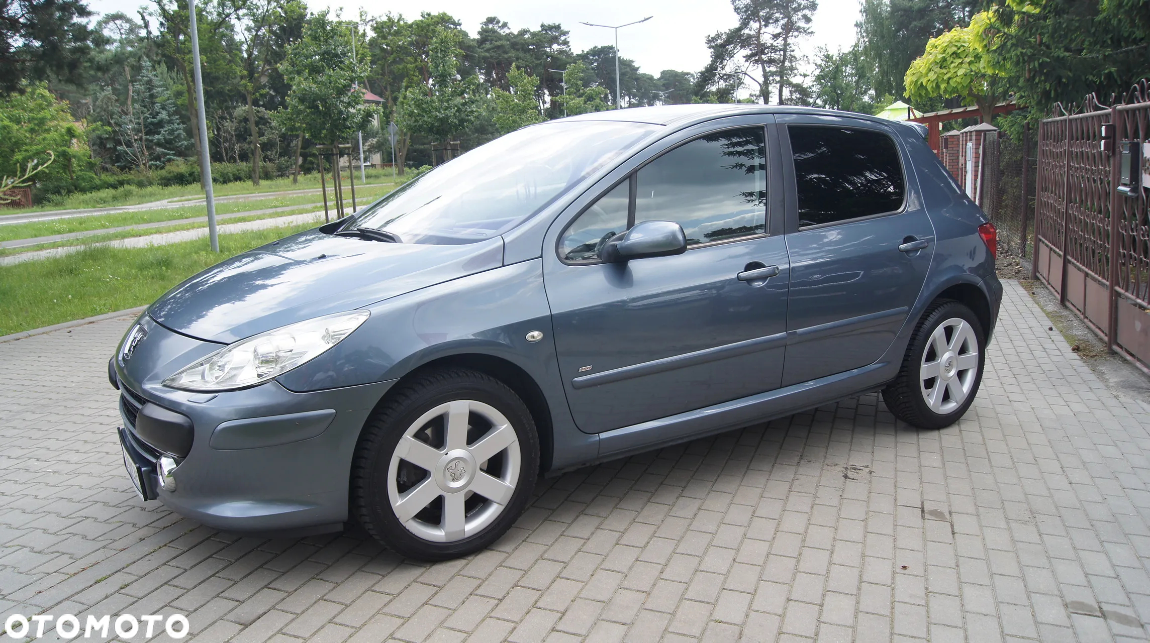 Peugeot 307 180 Platinum - 2